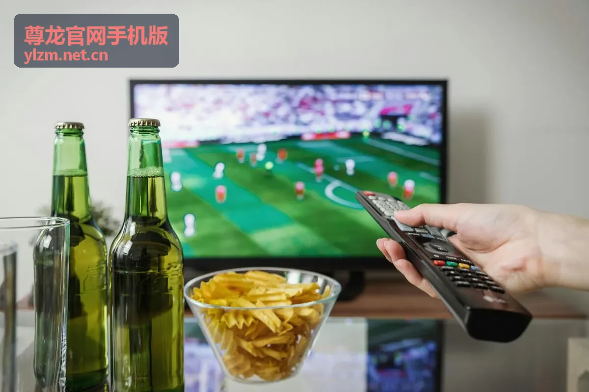 尊龙官网手机版官方下载渠道说明