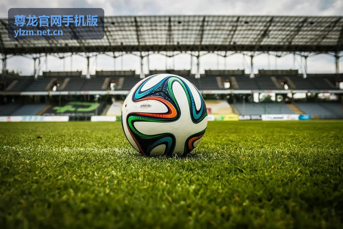 尊龙官网手机版移动端安全建议
